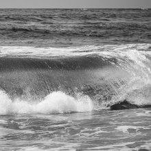 img_7754