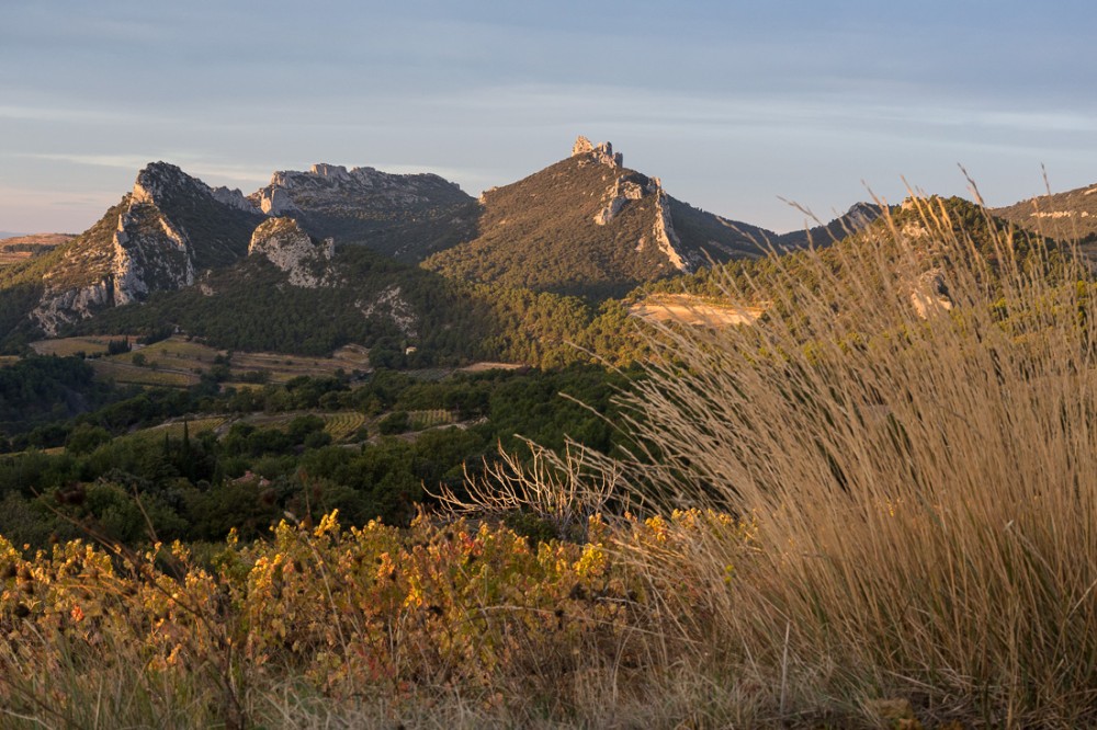 Les Dentelles au matin