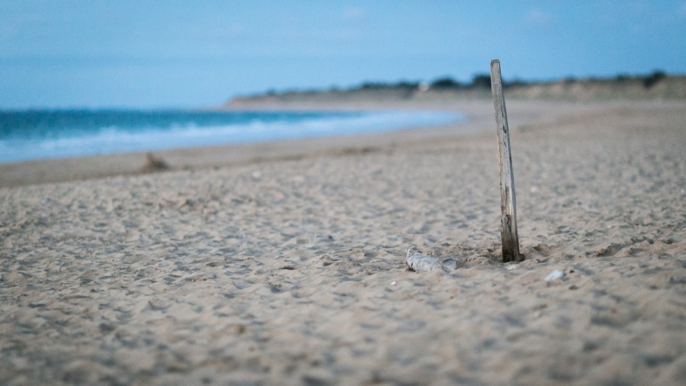 Plage des Baleines