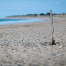 Plage des Baleines