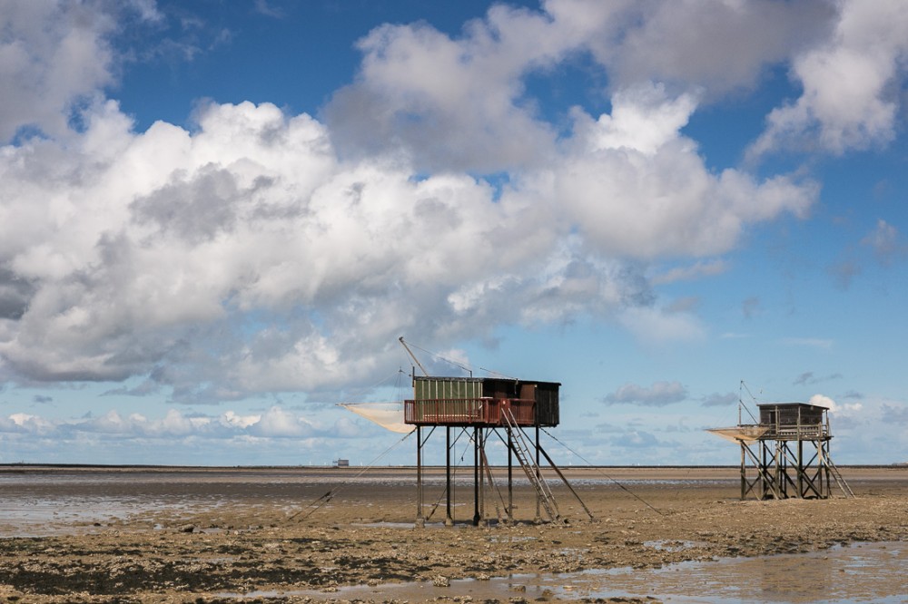 Pêche au carrelet