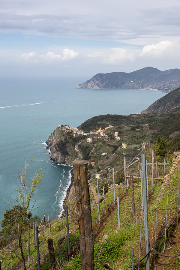 Belvédère sur Corniglia