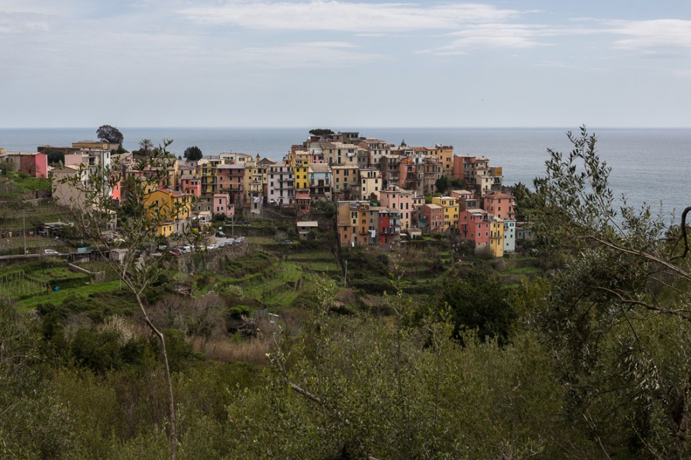 Corniglia