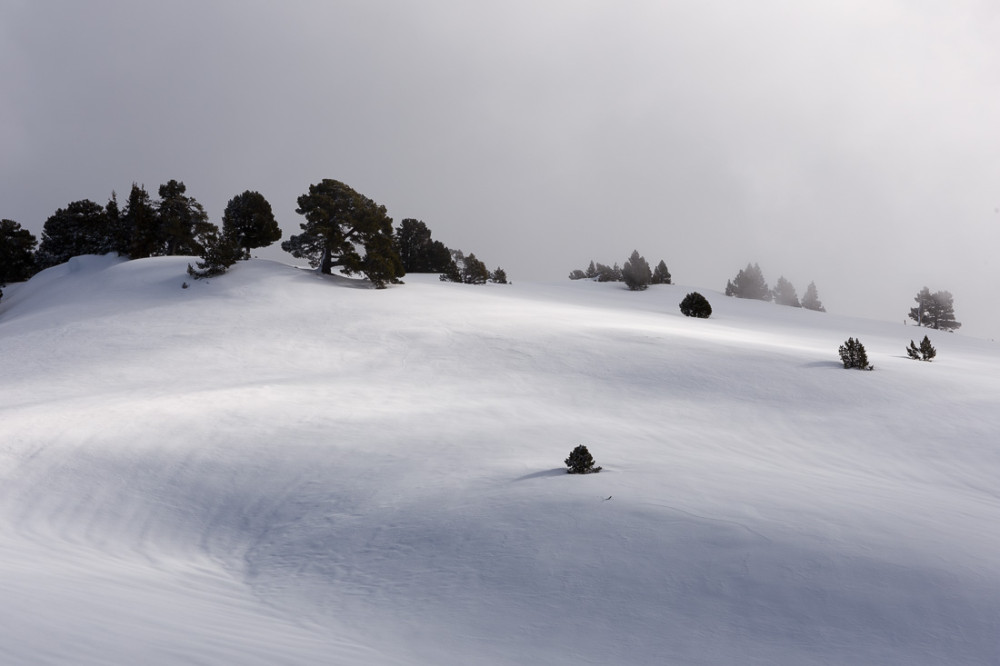 Lumières rasantes sur les crêtes du Parquet