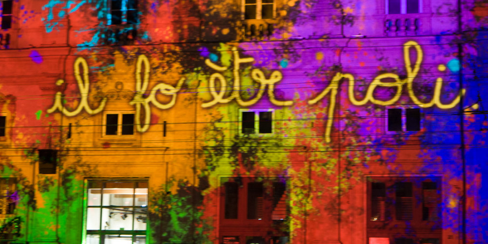 Musée des Beaux-Arts / 2008
